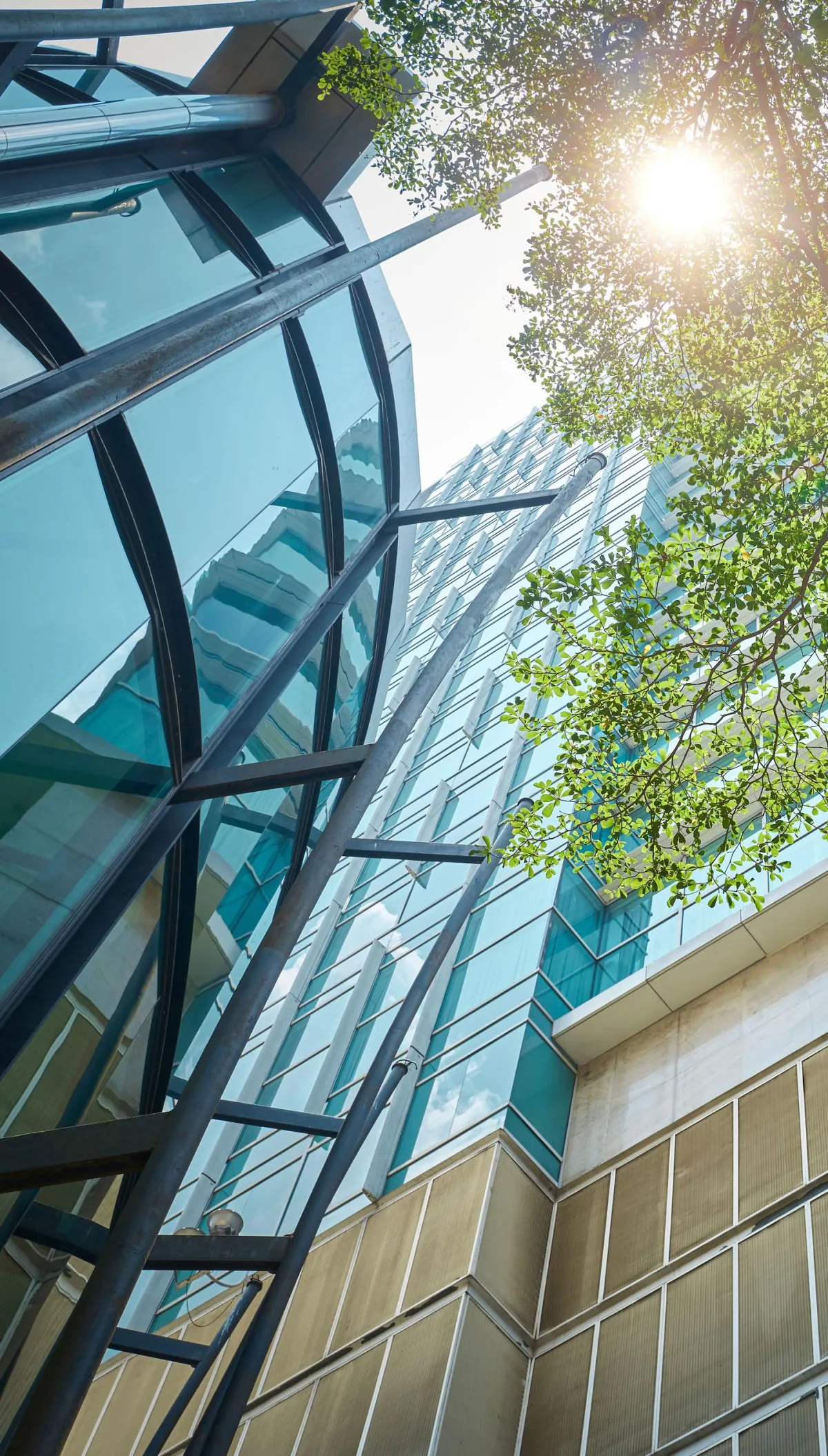 Navigating the Road: Understanding Motor Trade Insurance